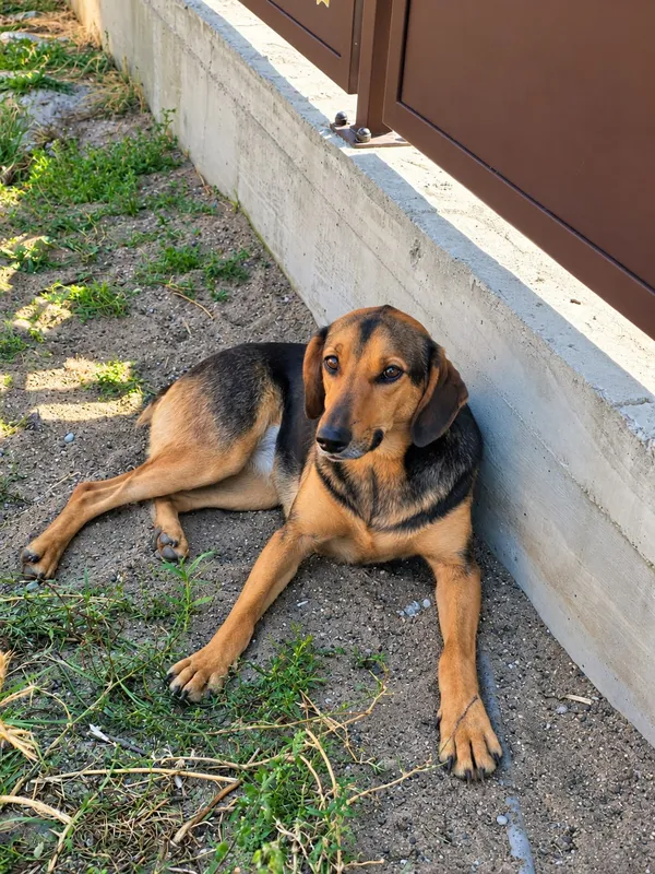 Luna photo 2