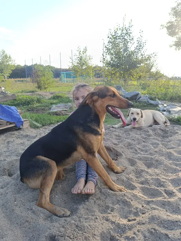 Luna photo 3