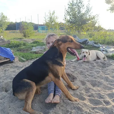 Luna photo 3