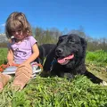 Life at the shelter 1