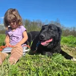 Vesna at the shelter 1