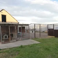 Shelter 1