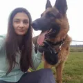 Life at the shelter 2