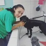 Rescued dog 31