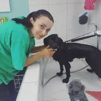 Rescued dog 31
