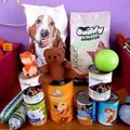 Life at the shelter 26