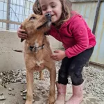 Vesna at the shelter 3