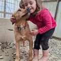 Life at the shelter 3