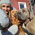 Life at the shelter 4