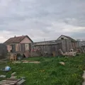 Life at the shelter 50