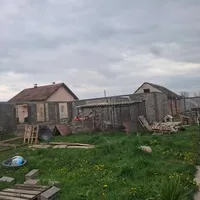 Shelter 3