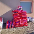 Life at the shelter 33