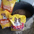 Life at the shelter 36