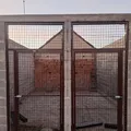 Life at the shelter 51