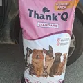 Life at the shelter 41