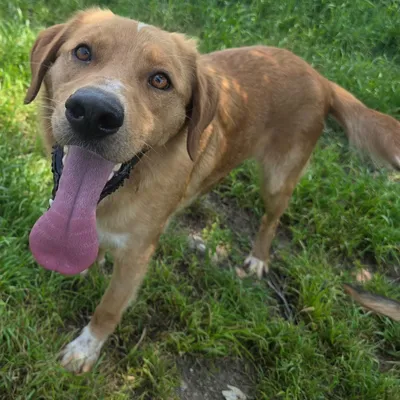 Barney photo 2