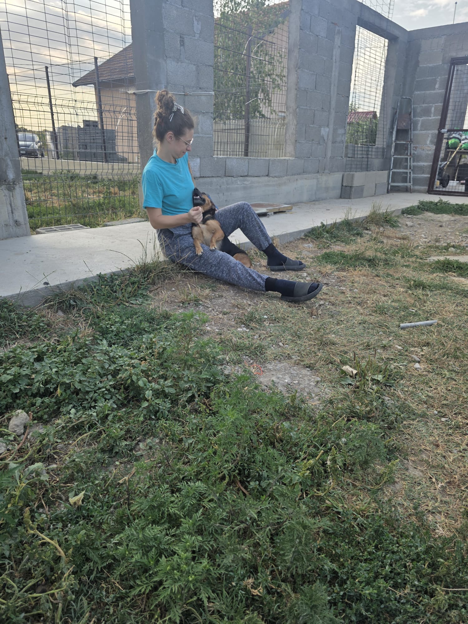 Daphne photo 5