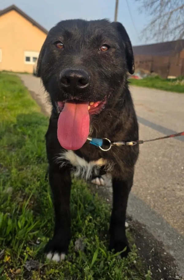 Flint