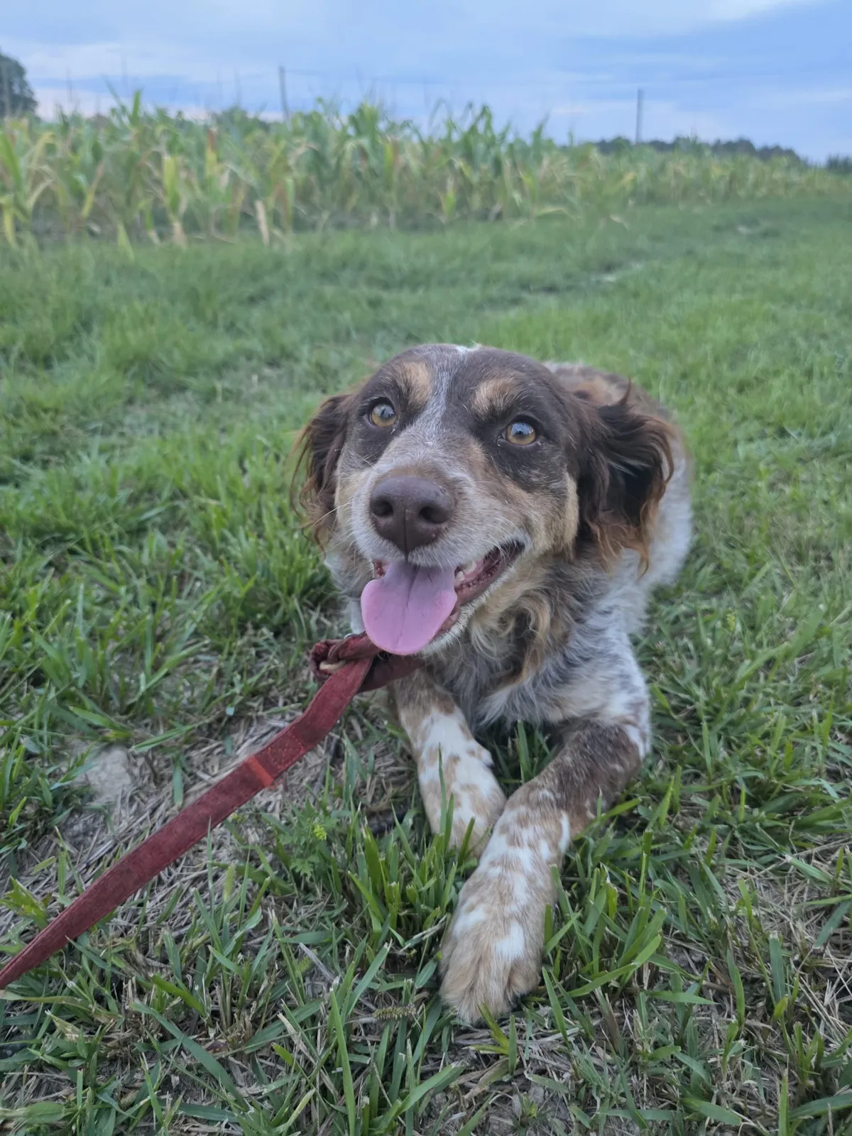 Freya photo 5