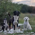 Life at the shelter 58