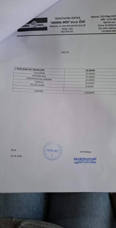 Veterinary bill
