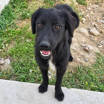 Klara photo 9