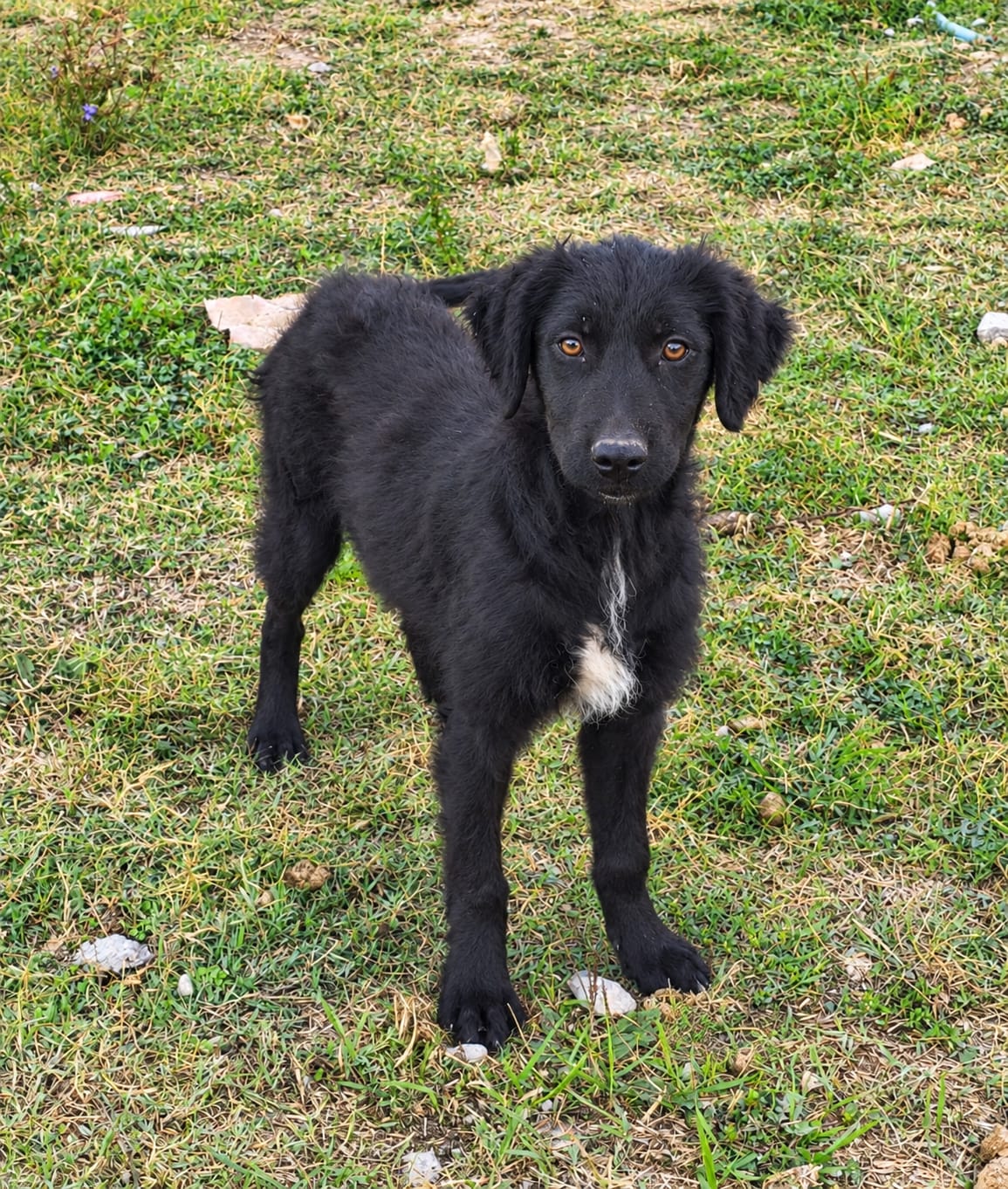 Klara photo 14