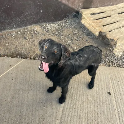 Luna Foto 3