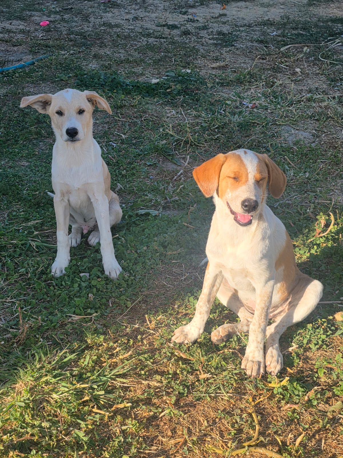 Max photo 4