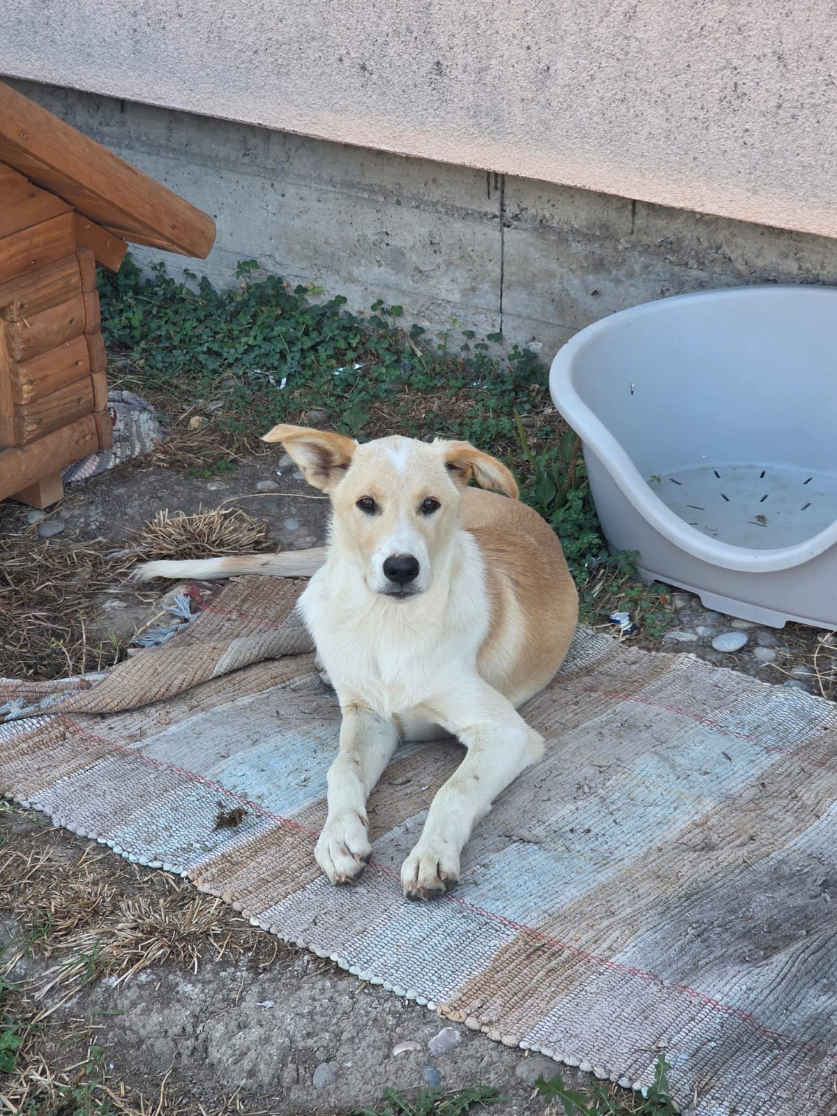Max photo 9