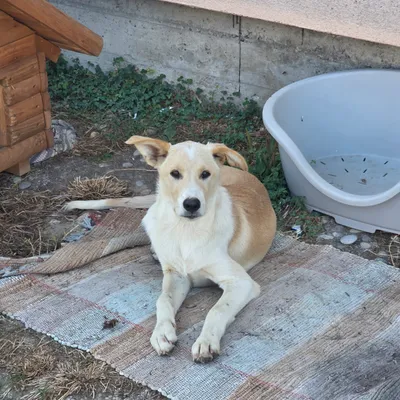 Max Foto 9