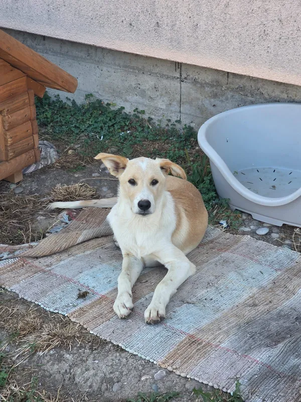 Max photo 9