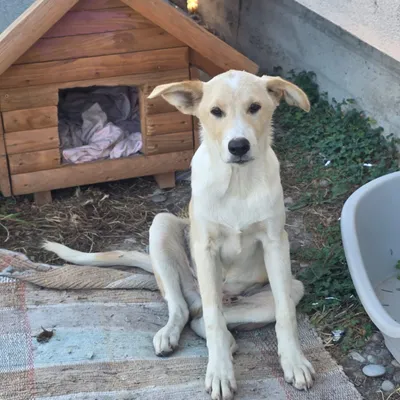 Max Foto 10
